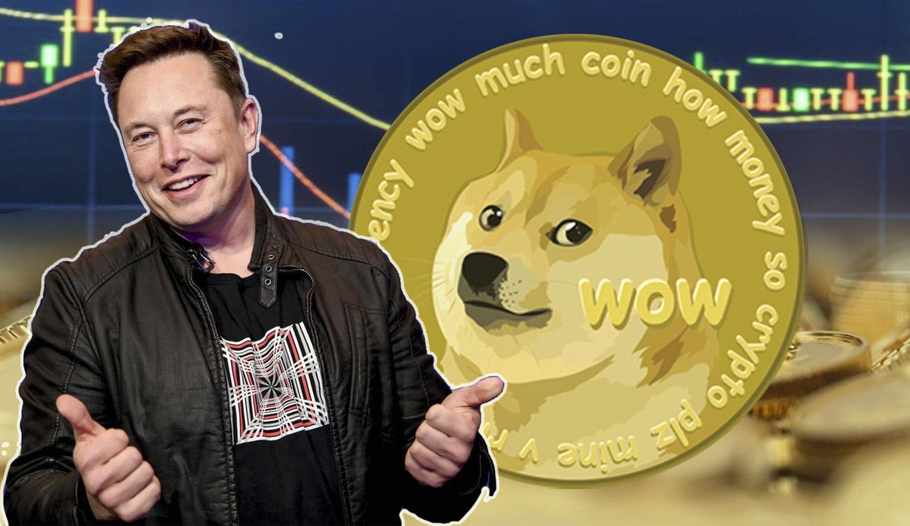 Elon Musk Dogecoin Lawsuit Dropped, Investors Withdraw Appeal