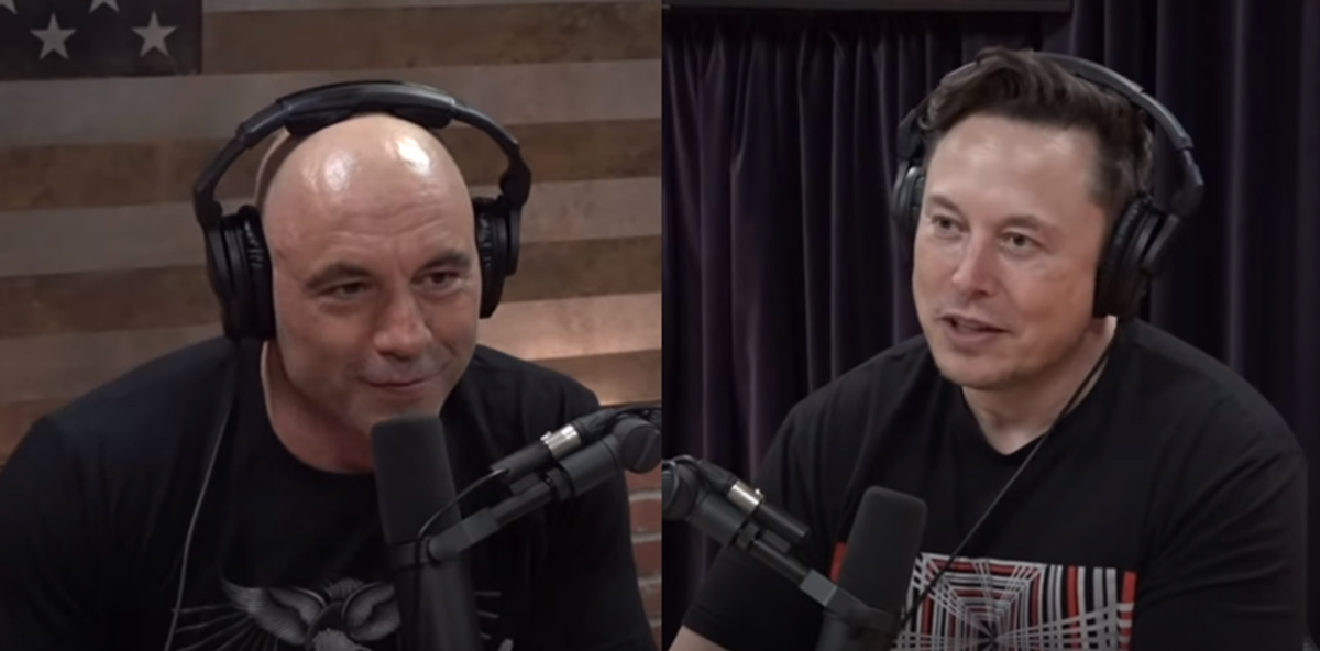 Elon Musk Calls Memecoins a Casino on the Joe Rogan Show