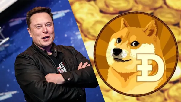 Elon Musk's Take on Dogecoin: Inflation is a Feature, Not a Flaw