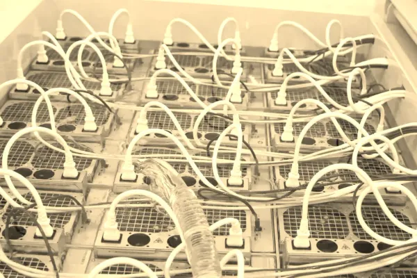 How Bitcoin Mining Powers This Brooklyn Luxury Spa